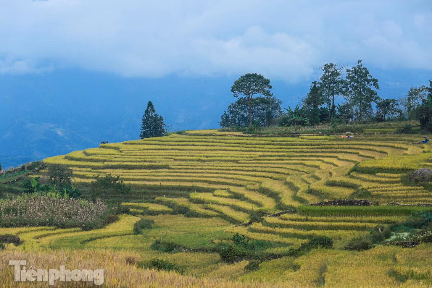 Những thửa ruộng bậc thang tầng tầng lớp lớp.