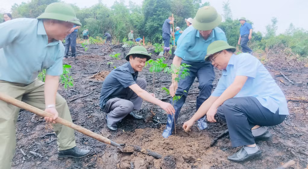 Ban Dân tộc tỉnh trồng rừng gỗ lớn tại Ba Chẽ.