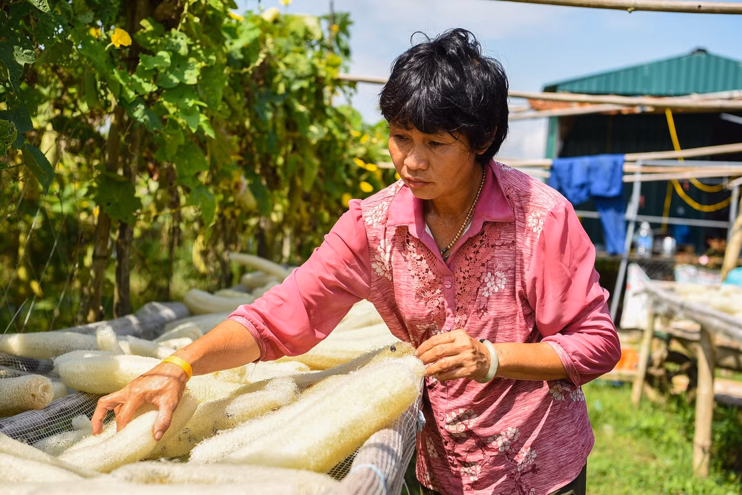 Công đoạn phơi vỏ xơ mướp đòi hỏi người thợ phải trau chuốt tỉ mỉ. Ảnh: PV.