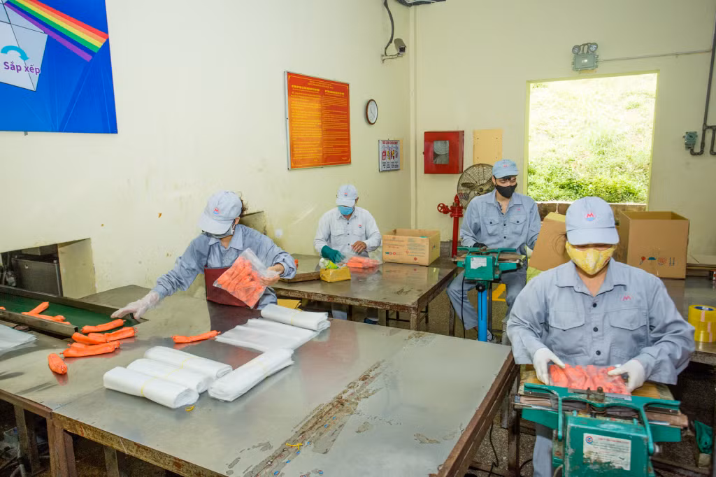 Ngoài việc cung ứng thuốc nổ trong nước hiện nay, Công ty còn xuất khẩu thuốc nổNhũ tương hầm lò sang các nước trong khu vực Đông Nam Á. Năm 2021, Công ty đã xuất khẩu được 3.360 tấn thuốc nổ các loại, dự kiến năm 2022 xuất khẩu trên 3.000 tấn.