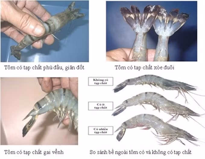 Ảnh minh họa: Pháp luật TPHCM.
