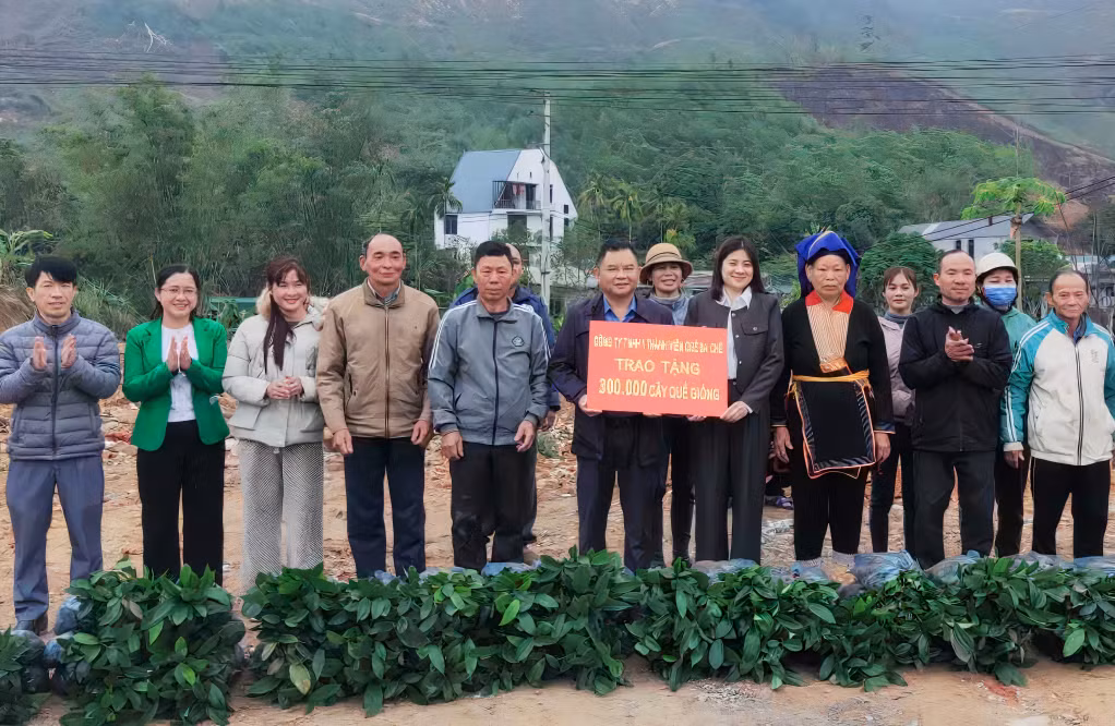 Công ty TNHH 1TV Quế Ba Chẽ và các đơn vị phối hợp tổ chức trao quế giống cho bà con xã Đồn Đạc, huyện Ba Chẽ.
