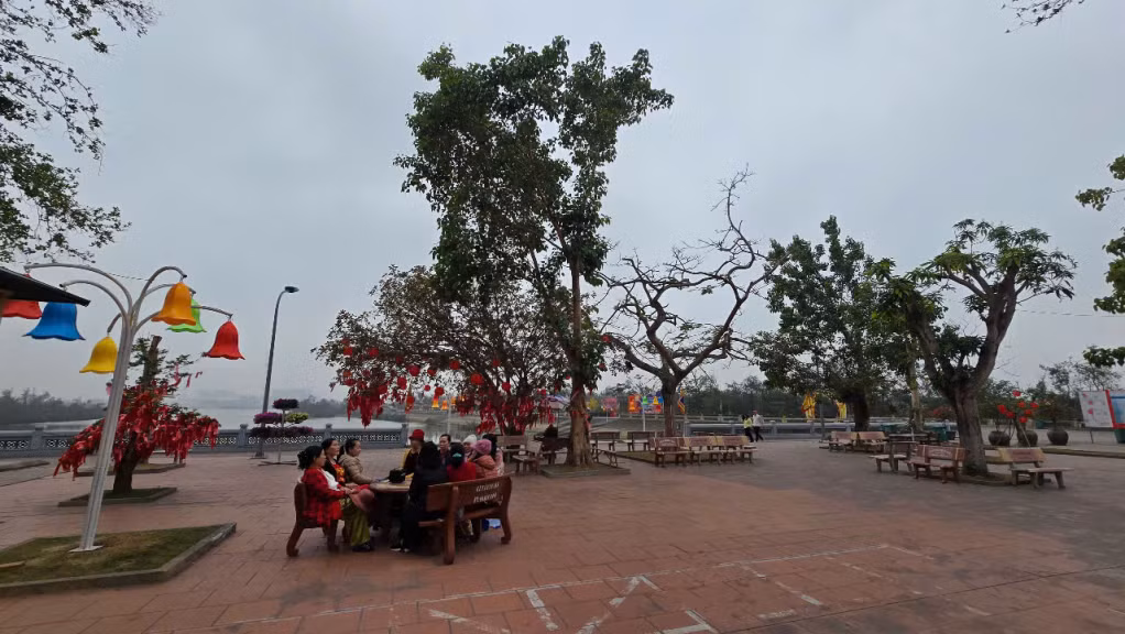 Nhiều cây to trong khuôn viên Khu di tích lịch sử Bạch Đằng đã được cứu sống sau bão Yagi, đang xanh trở lại.