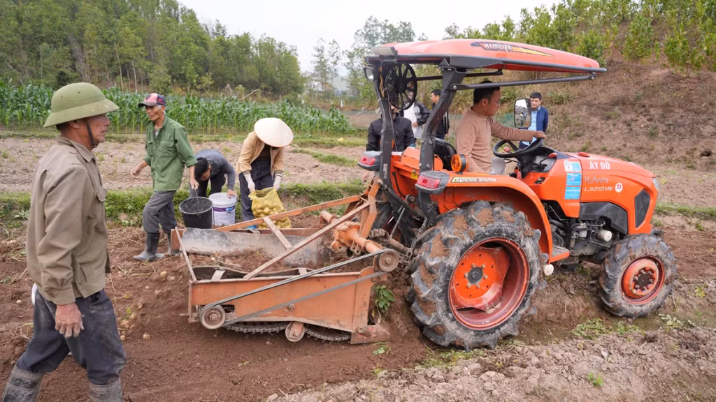Đưa máy móc vào thu hoạch khoai tây, giảm thiểu sức lao động của người dân.