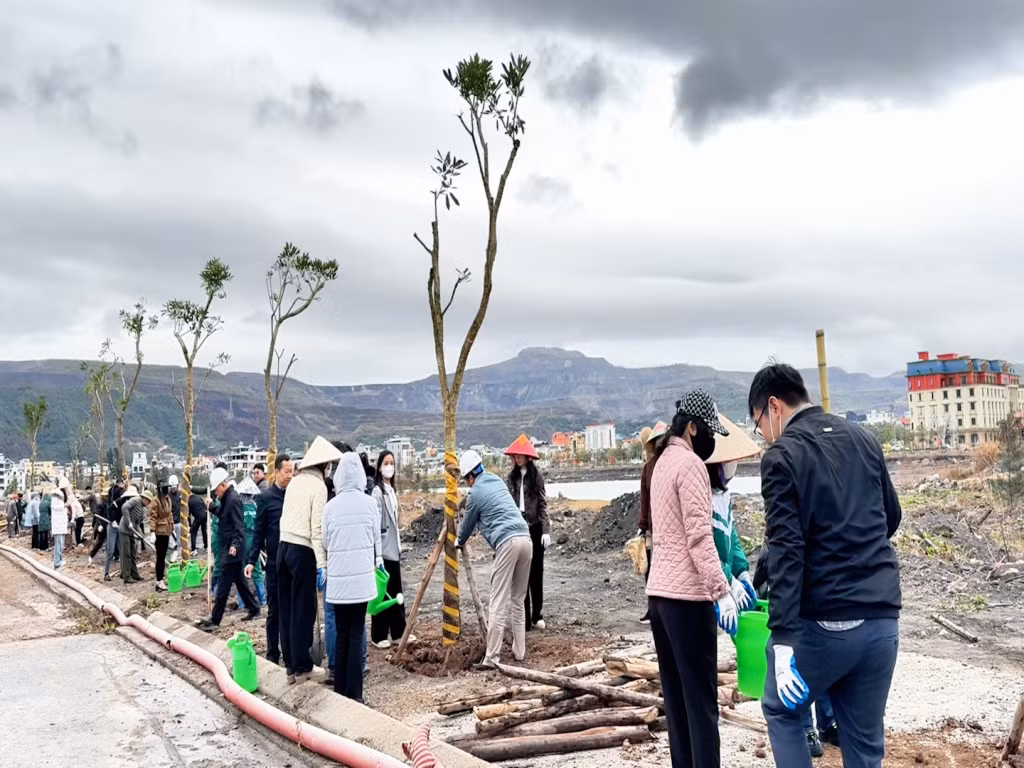 Các loại cây trồng tại khu đô thị Green Dragon City chủ yếu là cây có hoa sẽ tạo điểm nhấn cảnh quan cho thành phố Cẩm Phả