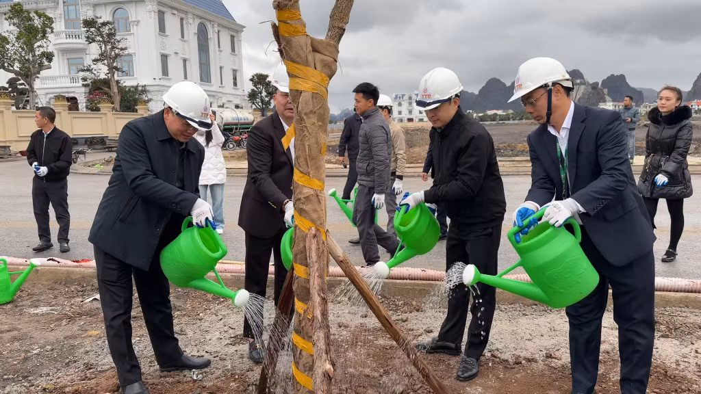 Lãnh đạo thành phố Cẩm Phả và Tập đoàn TTP trồng cây tại khu đô thị Green Dragon City
