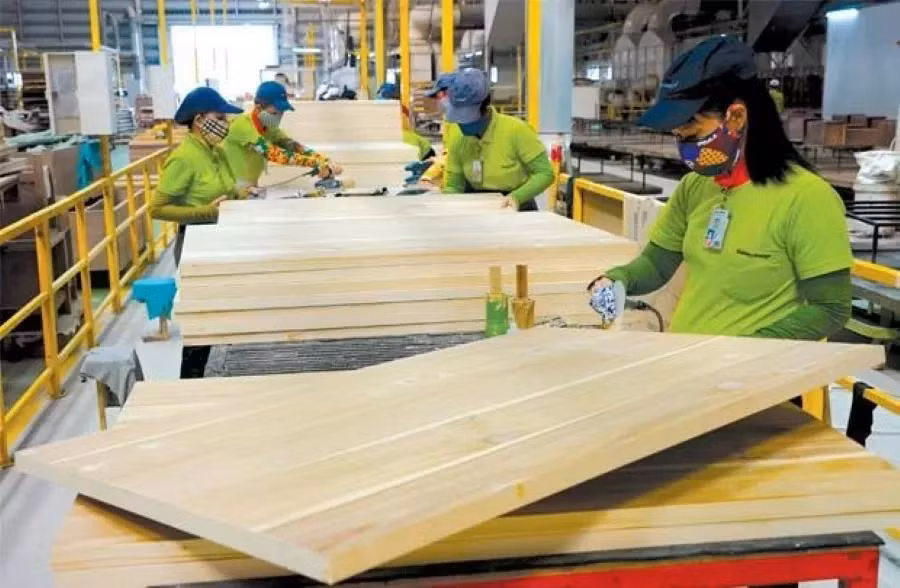 Xuất khẩu gỗ 15 ngày tháng 1/2025 thu về 738,8 triệu USD. Ảnh: Minh họa