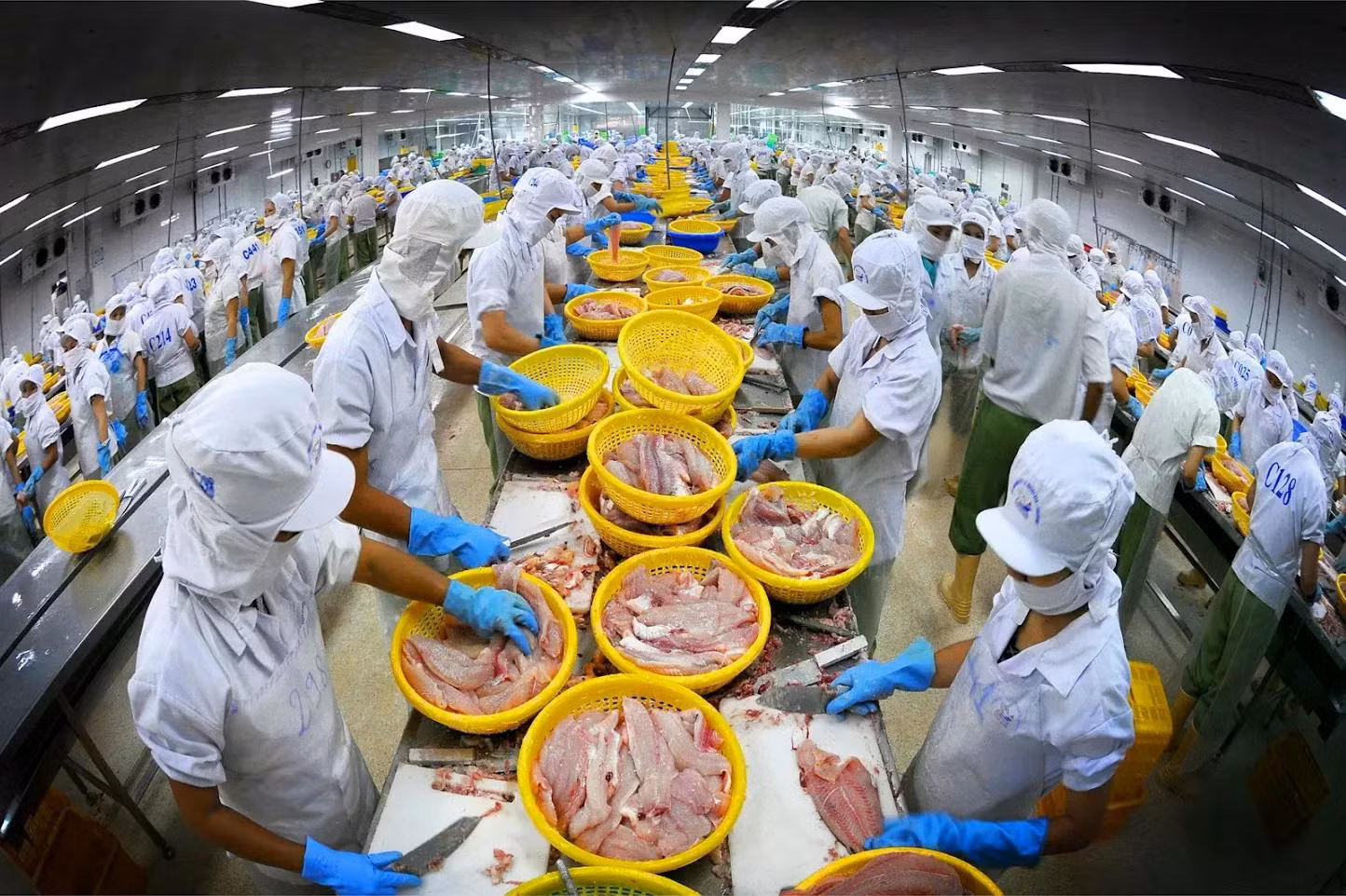 Năm 2024, ước tính xuất siêu của Việt Nam với thị trường CPTPP lên tới 9,4 tỷ USD, tăng gấp đôi so với cùng kỳ. Ảnh: Hoàng Hưng