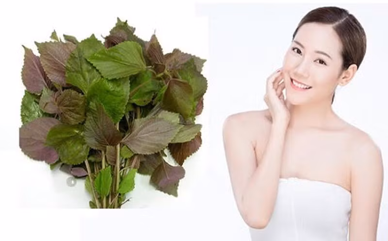 Lá tía tô có nhiều lợi ích cho làn da. Ảnh: ST