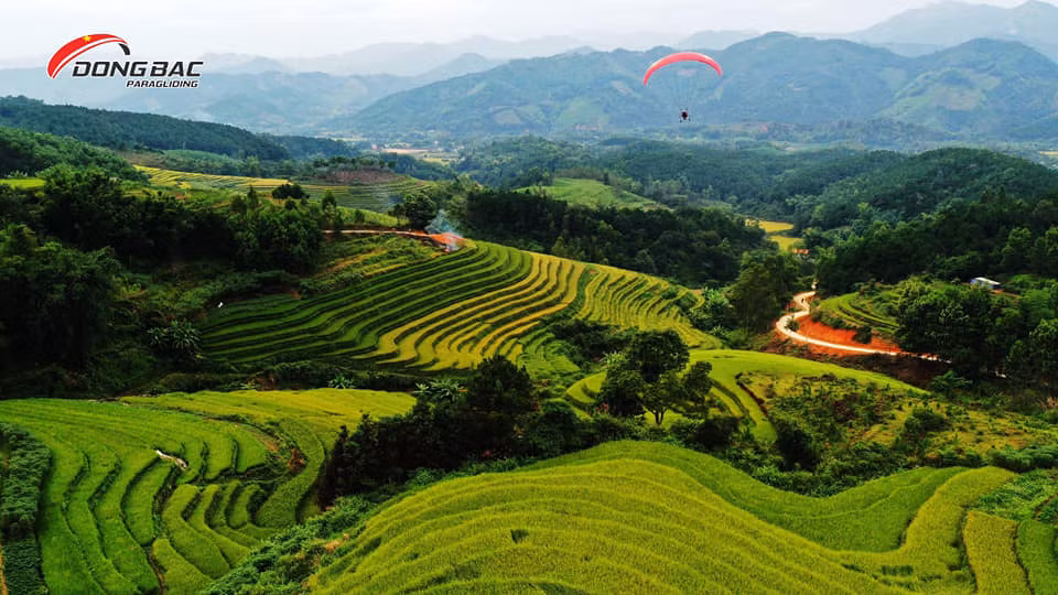 Ngắm vẻ đẹp mùa vàng từ dù lượn chắc chắn mang đến cho du khách một trải nghiệm độc đáo, thú vị. Ảnh: Fanpage CLB Dù lượn Đông Bắc