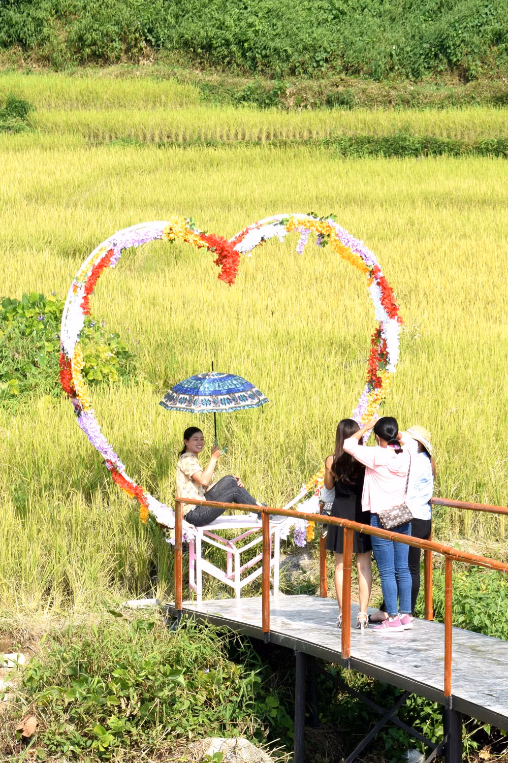 Một chiếc cầu bắc qua con suối mang tên cầu Tình Yêu rất thu hút các bạn trẻ