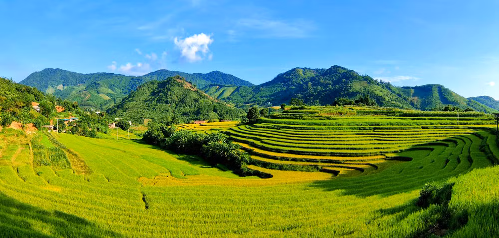 Nhưng về mùa thu đông, nhiều du khách tìm đến Đại Dực hơn và được choáng ngợp với những cánh đồng ruộng bậc thang lúa chín vàng, bầu trời xanh phảng phất mây trắng.