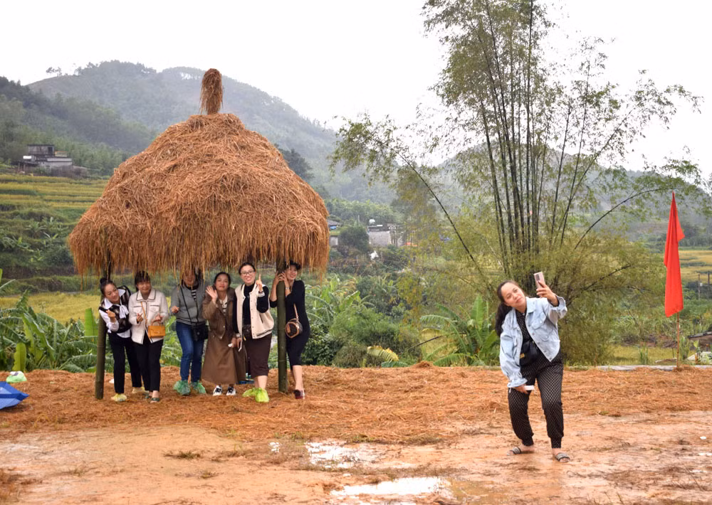 Thậm chí, ngay cả cây rơm cũng thu hút nhiều người đến check in