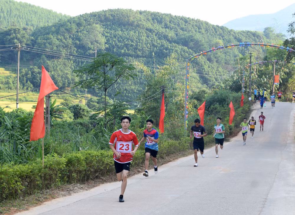 Các vận động viên trong giải việt dã “Băng qua mùa vàng”