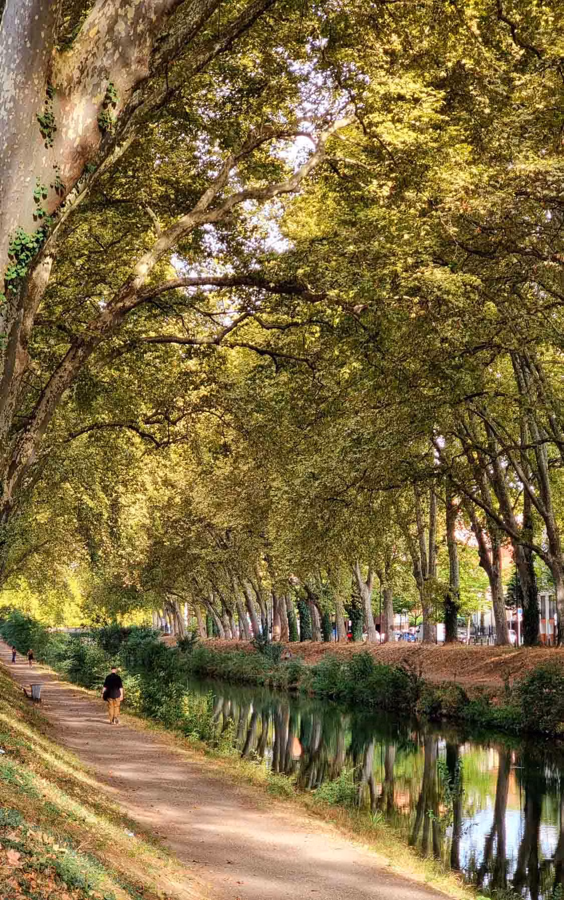 Dòng kênh Canal de Brienne ở trung tâm của Toulouse, trong vùng Midi-Pyrénées của Pháp. Ảnh: Lê Dân Nam
