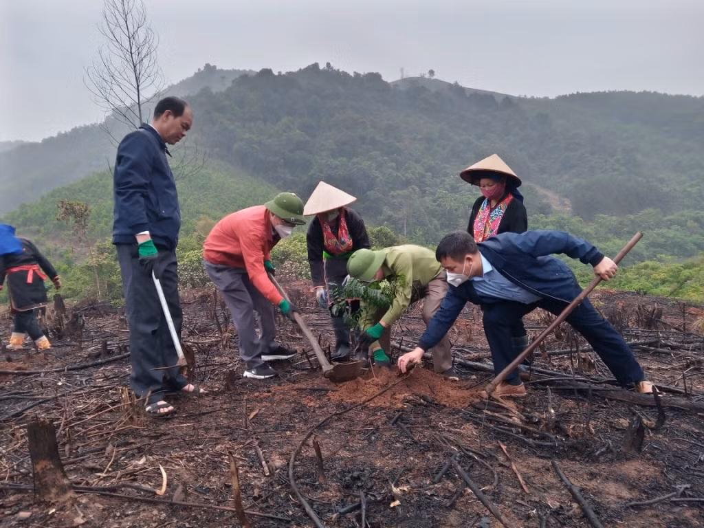 Cán bộ và nhân dân huyện Ba Chẽ hưởng ứng trồng rừng gỗ lớn do Hội Nông dân tỉnh phát động.
