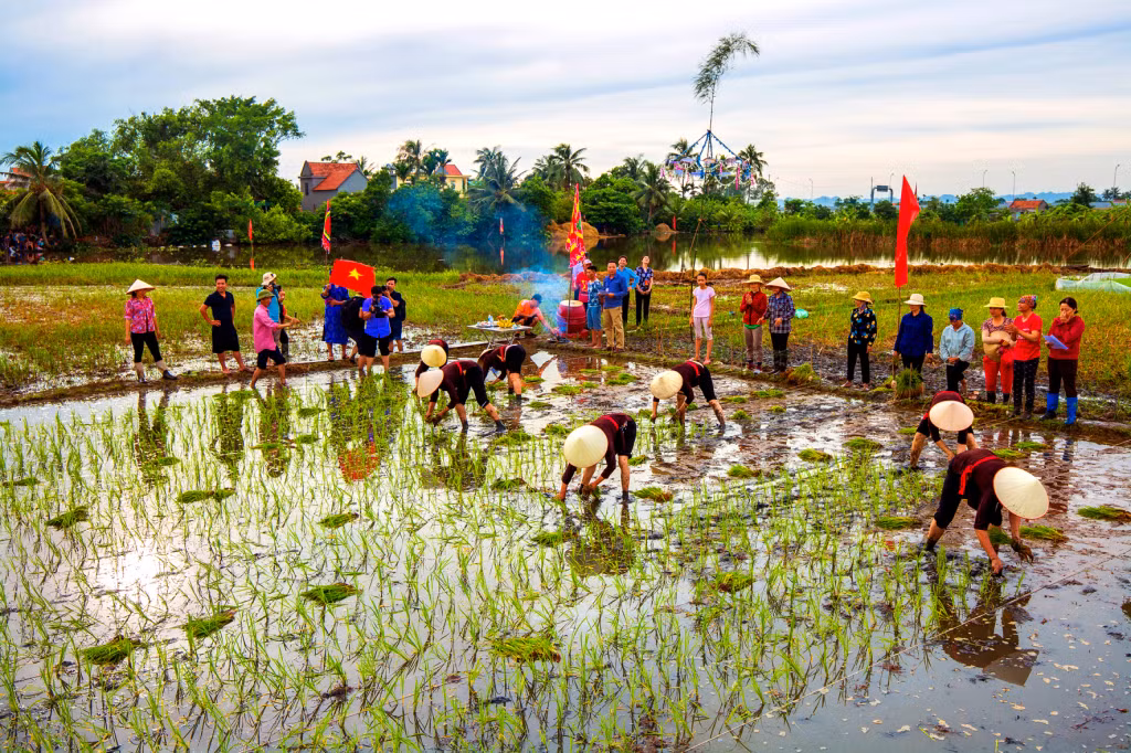 Thi cấy trong lễ hội Xuống đồng.