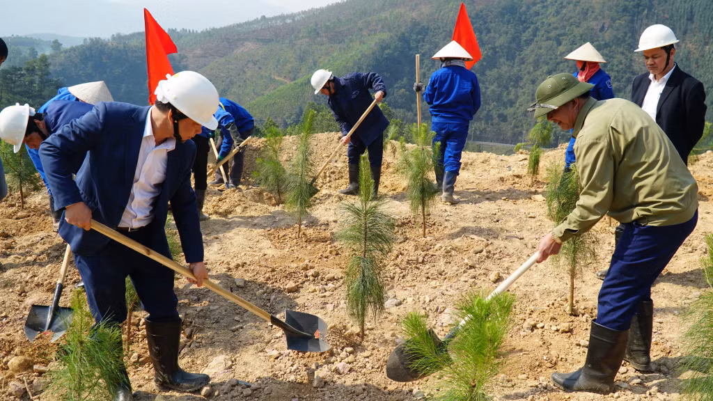 Trồng cây hoàn nguyên môi trường tại Công ty CP than Vàng Danh.