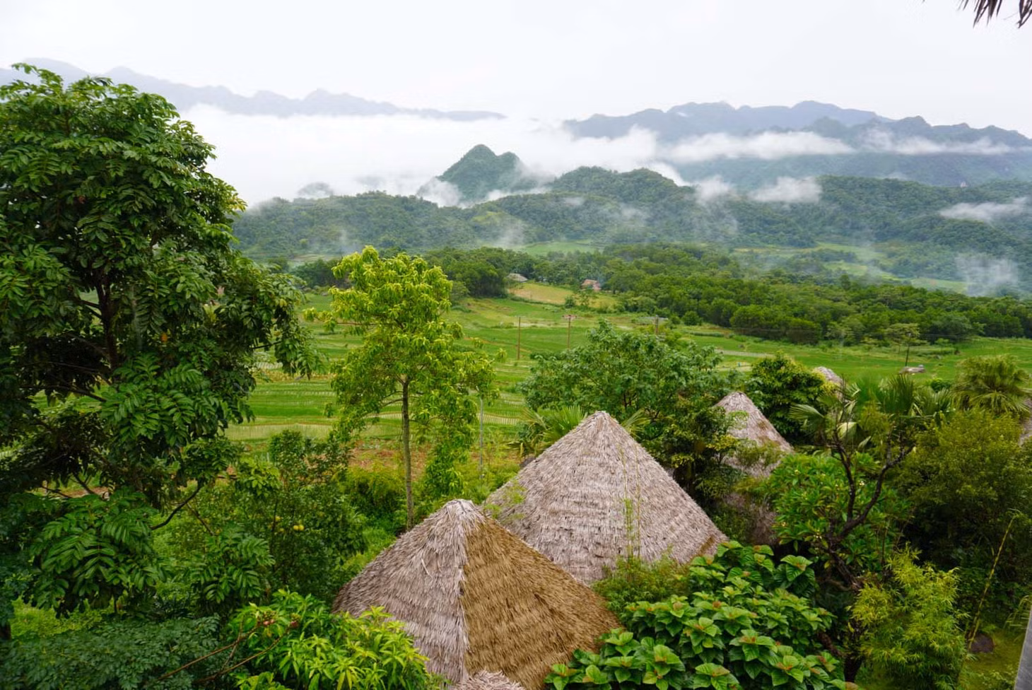 Một số khu nghỉ dưỡng du khách có thể lựa chọn lưu trú khi đến Pù Luông như Ebino Pù Luông Resort, Pù Luông Casa, Pu Luong Jungle Lodge, Pu Luong Natura hay Pu Luong Eco Garden… Ảnh: HP