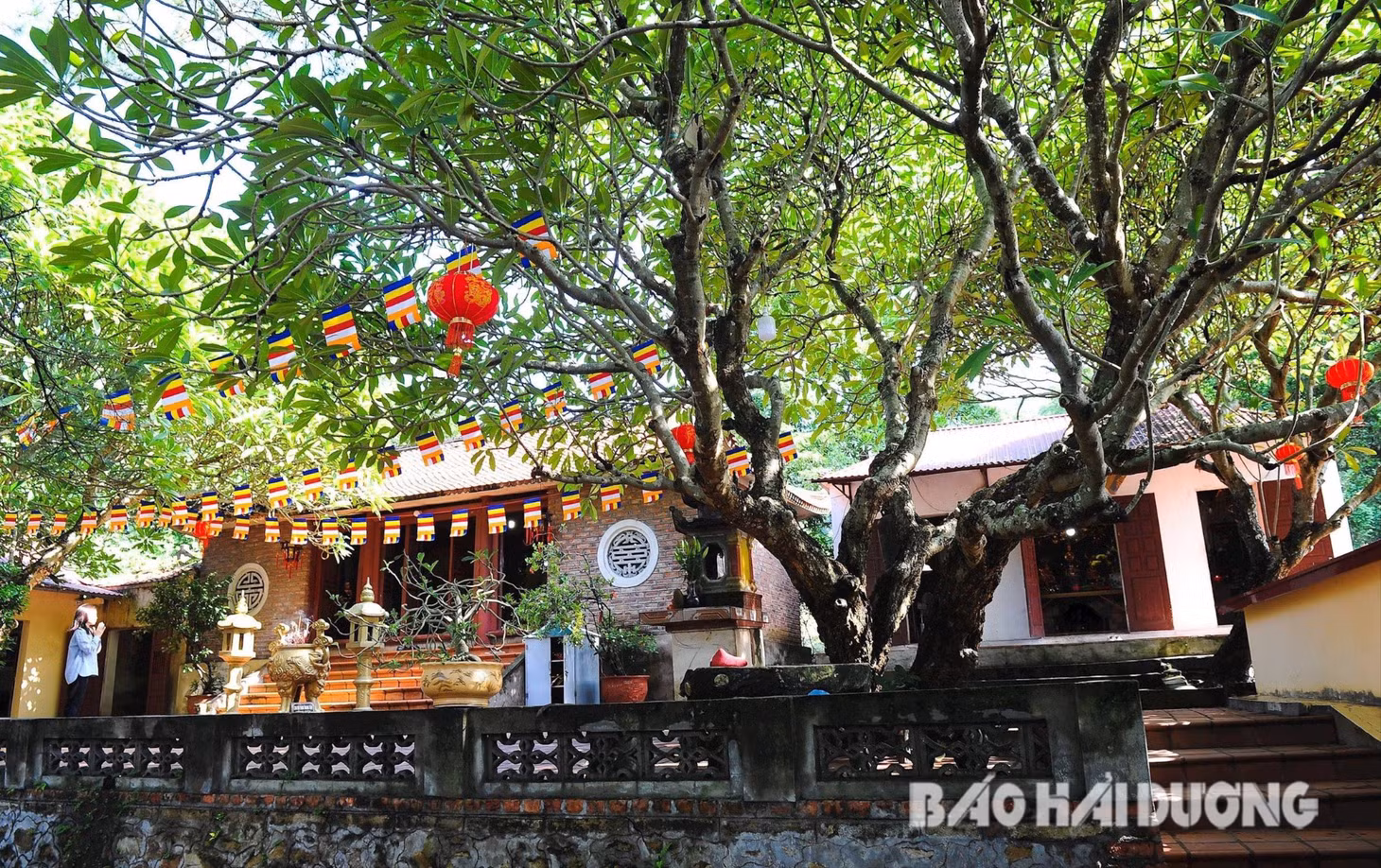 Chùa Ngũ Đài hiện nay nằm dưới chân núi Đống Thóc. Ảnh: Thành Chung