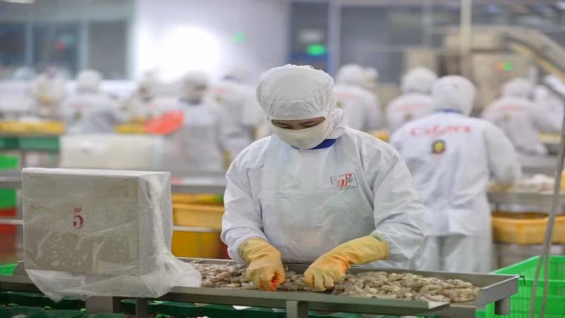 Xuất khẩu thủy sản sang Trung Quốc được kỳ vọng tăng trưởng mạnh trong năm 2024.