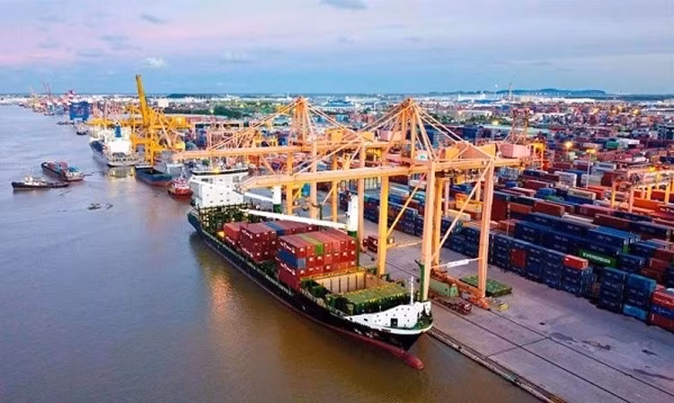 Khối lượng hàng hóa thông qua cảng biển tăng mạnh 2 tháng đầu năm ảnh 1