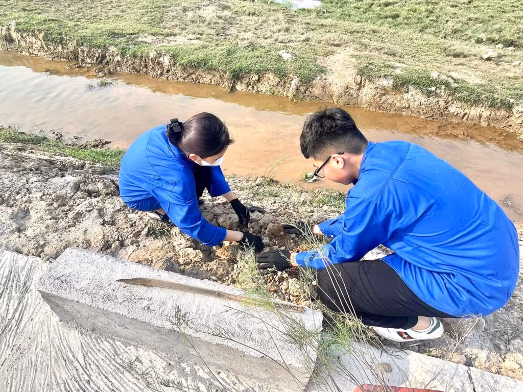 Đoàn viên thanh niên trồng cây tại tuyến đường do thanh niên quản lý tại xã Hải Đông (TP Móng Cái).