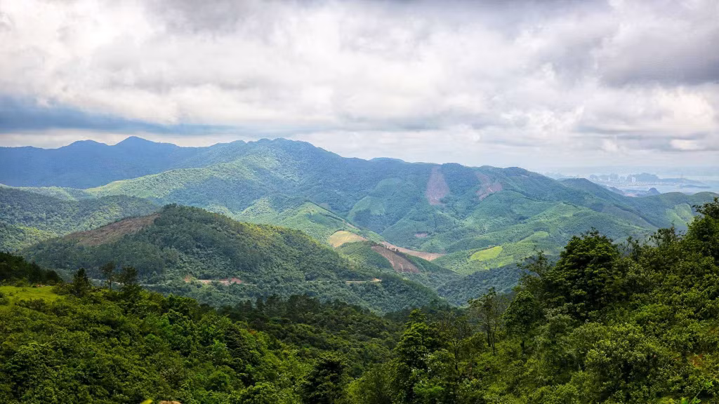 Quảng Ninh luôn chú trọng phát triển kinh tế - xã hội với bảo vệ môi trường.