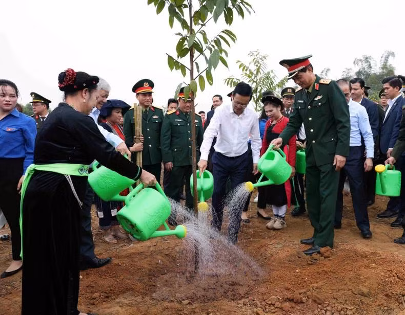Chủ tịch nước Võ Văn Thưởng cùng các đại biểu tham gia trồng cây sau Lễ phát động. Ảnh: Vũ Sinh/TTXVN