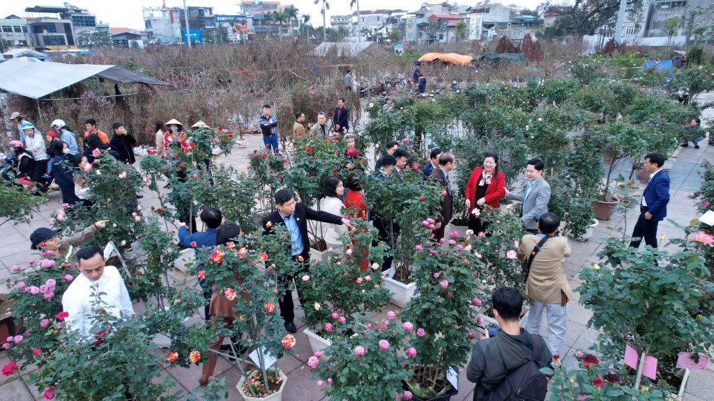 Cán bộ nhân dân tham dự triểm lãm và chiêm ngưỡng sắc hoa hồng vào xuân
