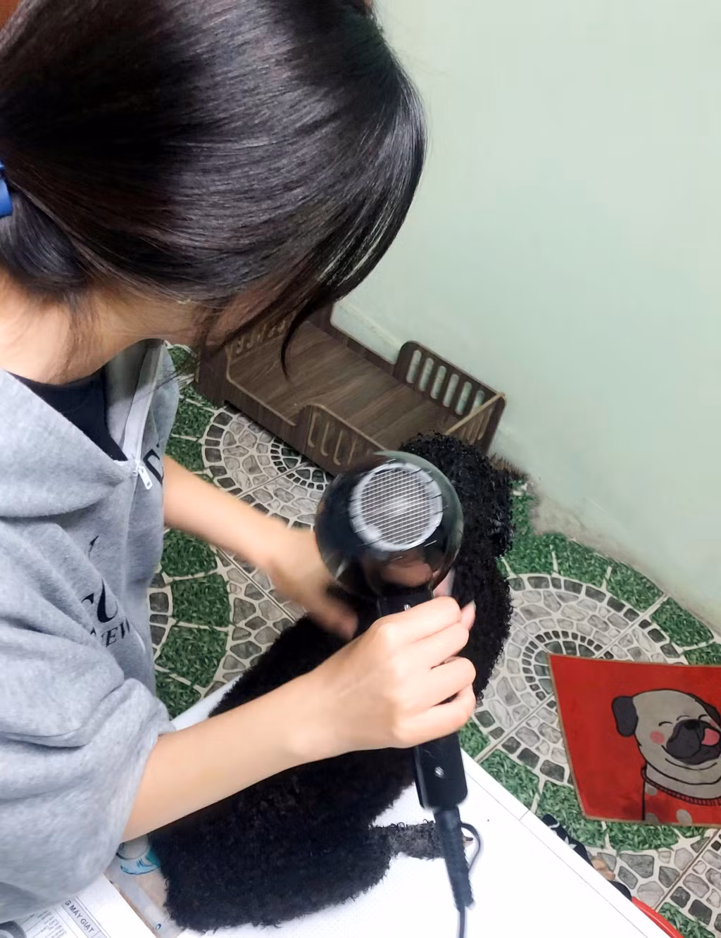 fa