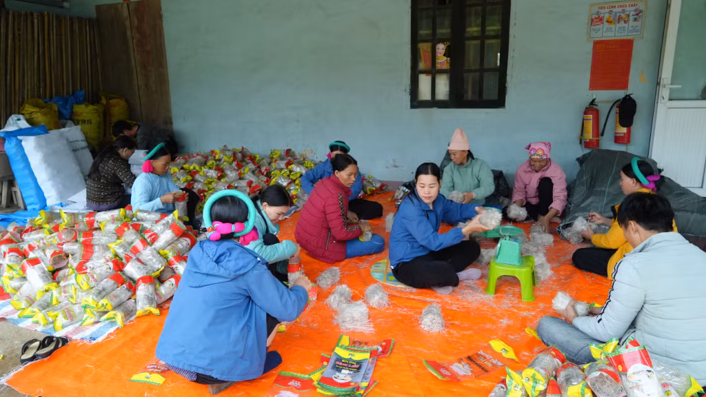Hạ tầng giao thông phát triển giúp người dân xã Húc Động nâng cao thu nhập từ nghề sản xuất miến dong