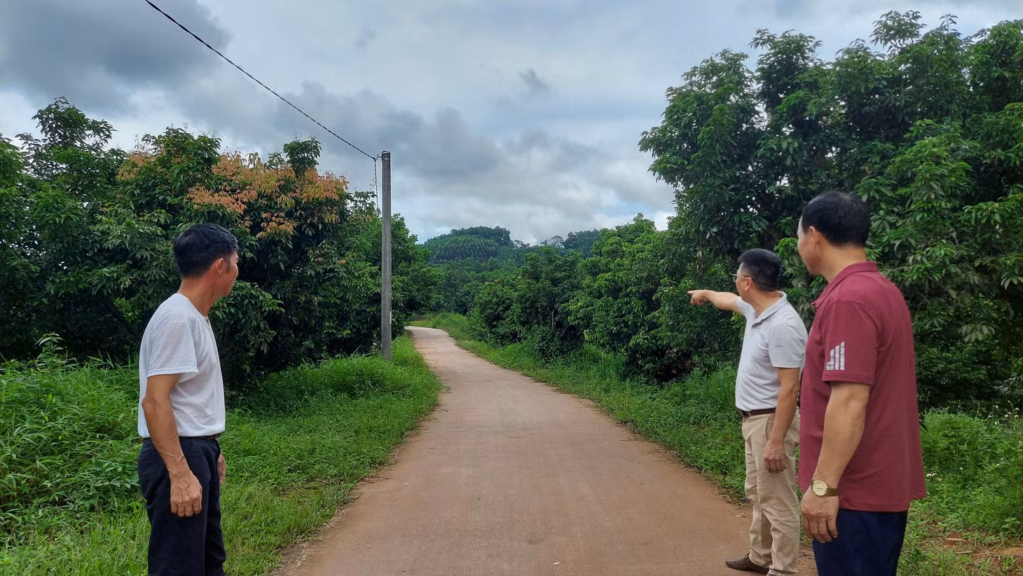 Lắng nghe nguyện vọng của nhân dân, tuyến đường mòn vào đội 1, thôn Phủ Liễn (Đồng Sơn) được đầu tư xây dựng kiên cố hóa, trong đó các hộ dân đều đồng thuận hiến đất làm đường.