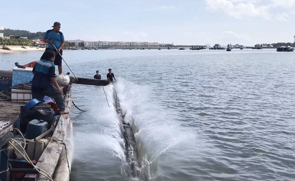 Một trường hợp tàu cá có hành nghề cấm bị tháo dời, thu giữ thiết bị vi phạm theo quy định.