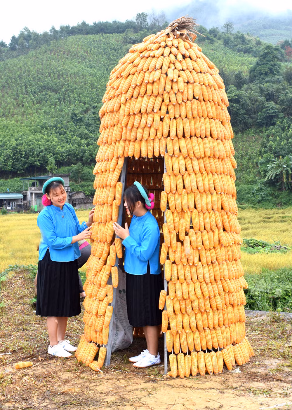 Làm dáng bên túp lều tết bằng bắp ngô