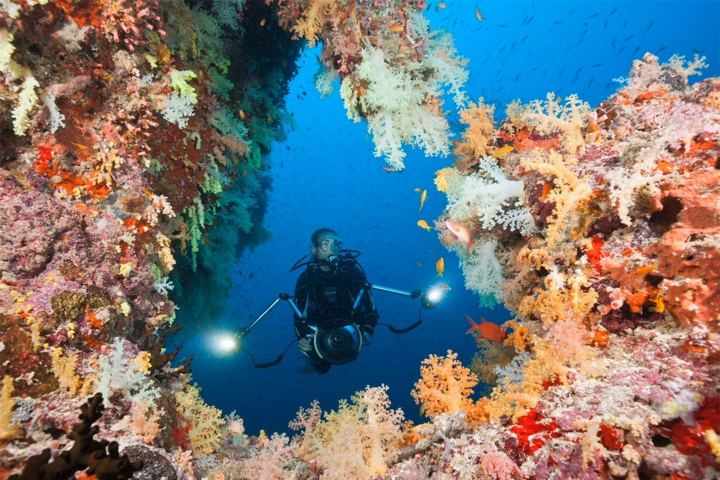 Rạn san hô ở Maldives.