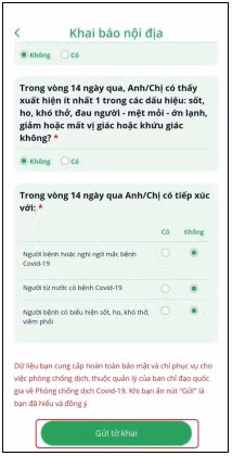Bước 4: Điền thông tin và bấm “Gửi tờ khai”