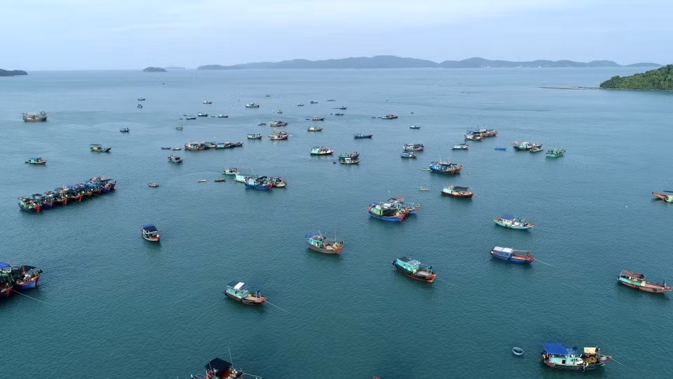 Vùng biển Cô Tô phong phú về nguồn lợi thuỷ sản, là một trong 8 ngư trường lớn của vịnh Bắc Bộ.