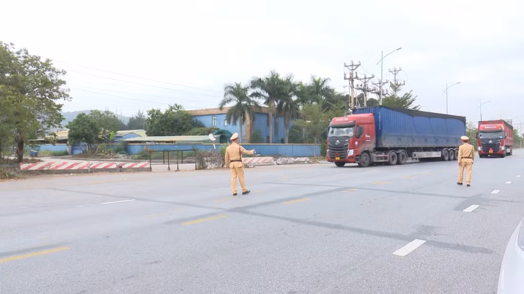Lực lượng chức năng thành phố tiến hành kiểm tra, xử lý nghiêm việc vận chuyển, kinh doanh dăm gỗ gây ảnh hưởng môi trường. Ảnh do đơn vị cung cấp