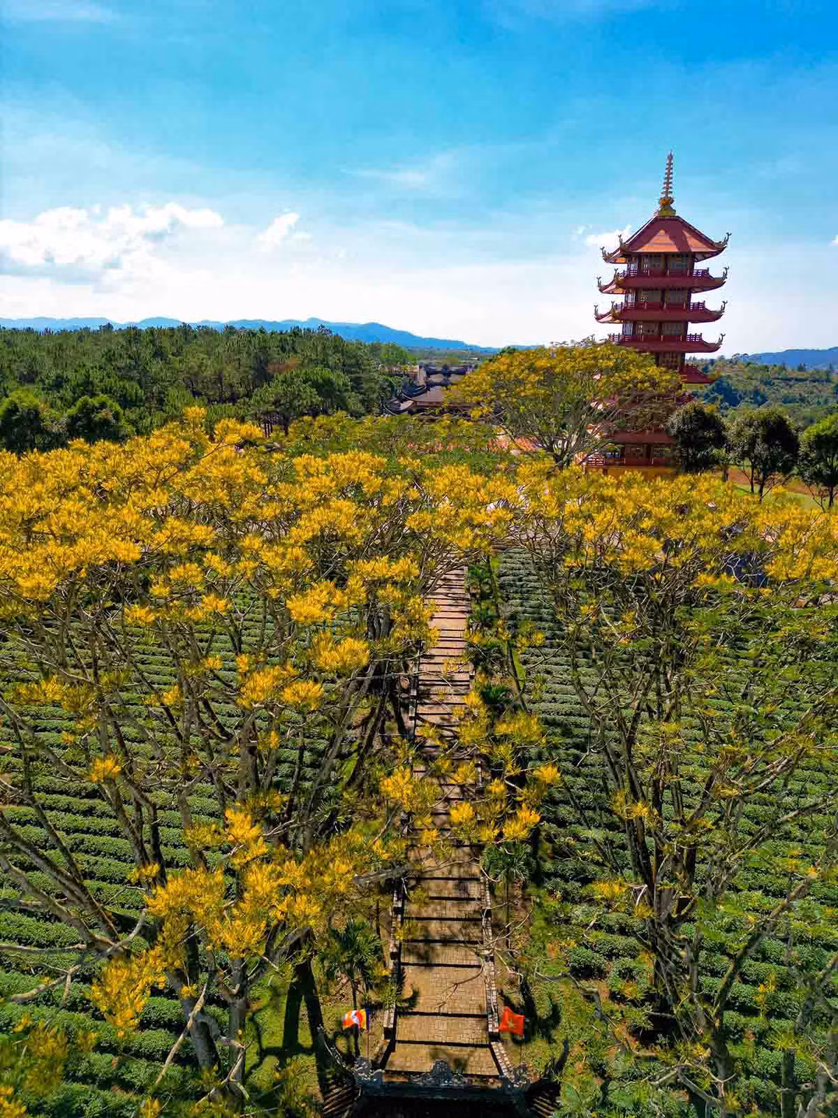Nếu không vào mùa phượng vàng thì Tu viện Bát Nhã vẫn là điểm đến hấp dẫn dành cho du khách khi đến Bảo Lộc bởi không gian nơi đây lúc nào cũng mát mẻ, dễ chịu. Ảnh: Luân Lavender