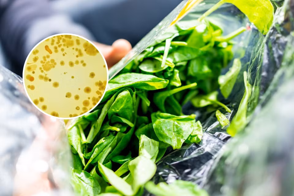 Nghiên cứu cho hay vi khuẩn Listeria trong thực phẩm đóng gói có thể kháng lại thuốc khử trùng. Ảnh: Newsweek.