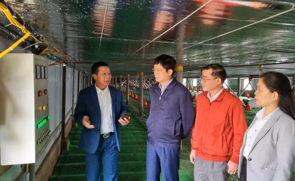 Chủ tịch HND tỉnh trao đổi với hội viên, nông dân TX Quảng Yên. Ảnh: Quốc Tảo (CTV)