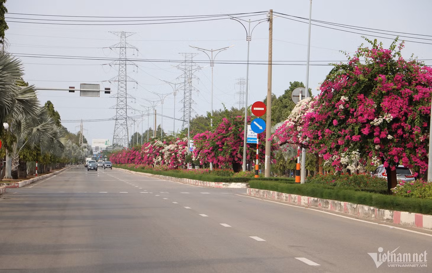 Thường xuyên đi làm qua tuyến đường này, anh Phạm Quang Cường (38 tuổi, trú TP Vũng Tàu) chia sẻ, với bản thân, con đường hoa giấy trên không những tạo cảnh quan đô thị mà còn giúp họ có được cảm giác thư thái, giảm căng thẳng sau ngày làm việc mệt mỏi