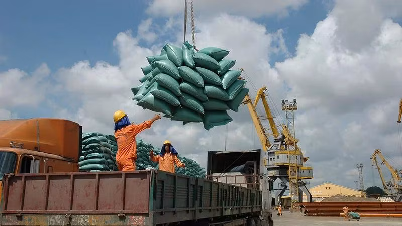 Xuất khẩu gạo là điểm sáng trong năm 2023.