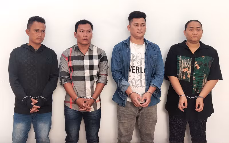 Các đối tượng Lê Thị Như Ngọc, Đào Minh Cảnh, Phạm Đình Quyền, Đào Minh Dương bị khởi tố để điều tra về hành vi “Vi phạm quy định về khai thác tài nguyên”.
