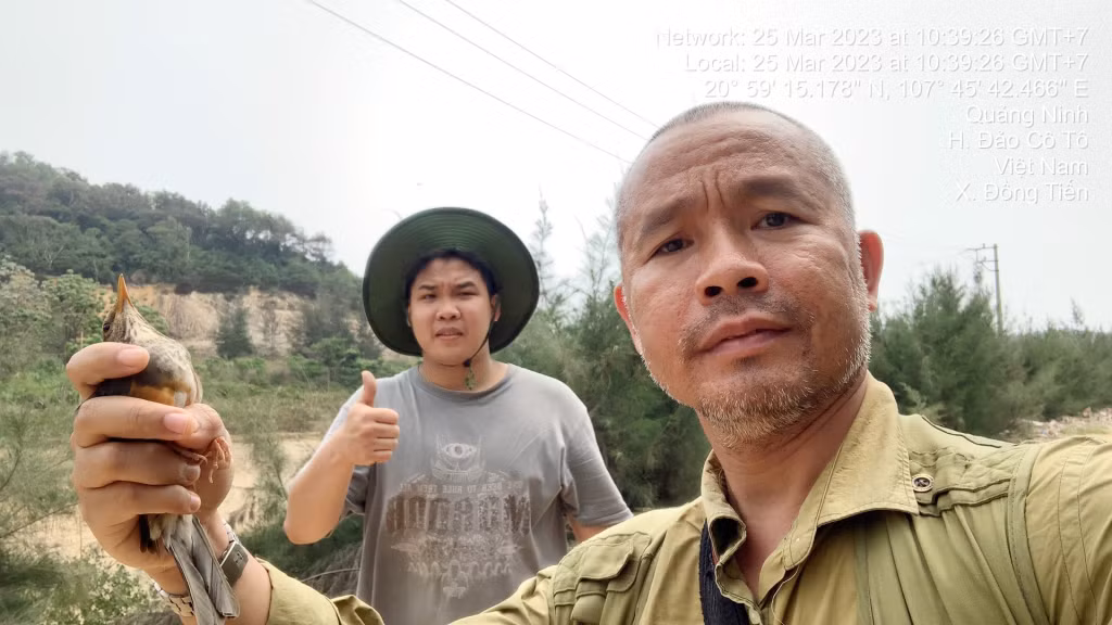Con hoét lưng xám may mắn được TS Lê Mạnh Hùng gỡ lưới cứu thoát và thả vào tự nhiên tại Cô Tô.