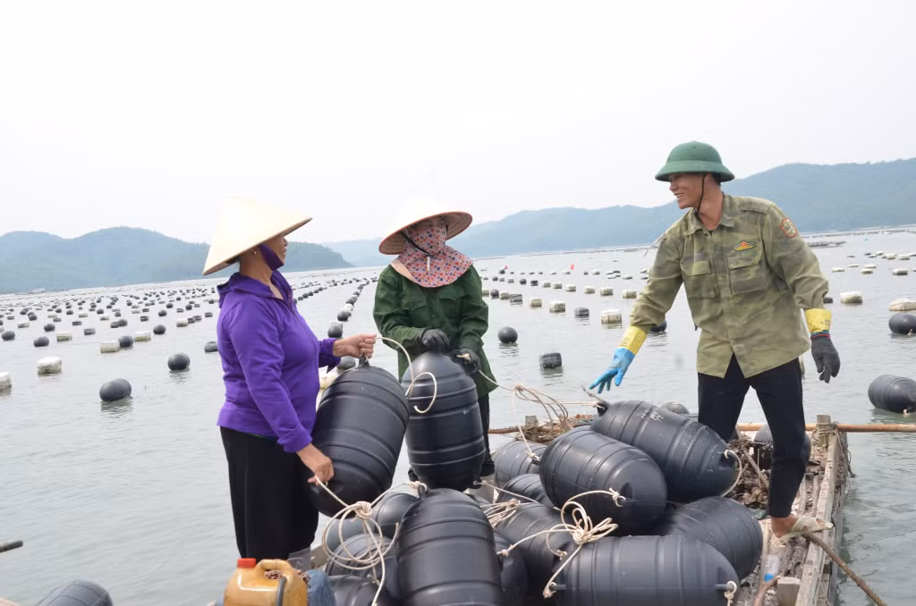Bí thư chi bộ thôn Ngọc Nam (xã Ngọc Vừng, huyện Vân Đồn) Nguyễn Thị Ngoãn (ngoài cùng, bên trái) vận động người dân chuyển đổi phao xốp sang phao nhựa trong nuôi trồng thủy sản.