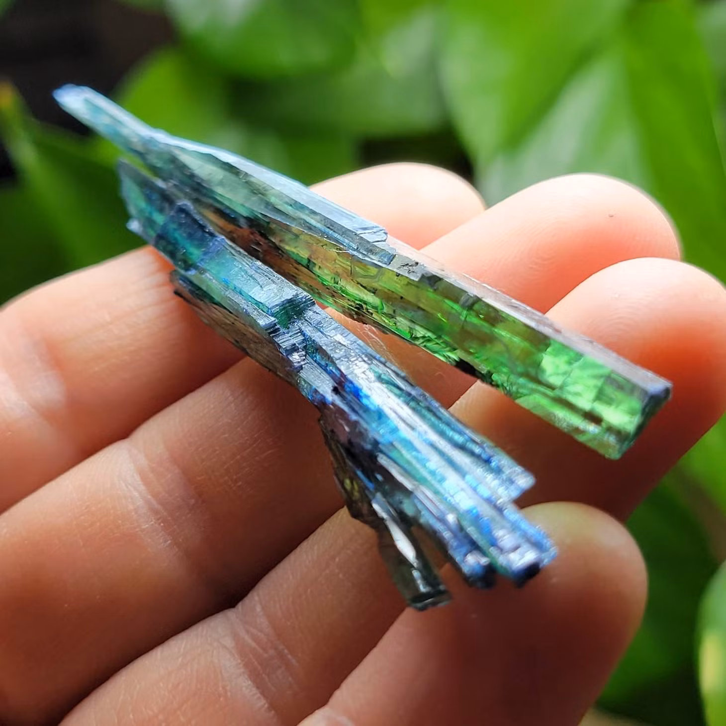 Vivianite là một khoáng chất thứ cấp được tìm thấy trong một số môi trường địa chất: vùng oxy hóa của các mỏ quặng kim loại, trong đá granit pegmatit chứa khoáng chất phốt phát, trong đất sét và trầm tích glauconitic, và trong các trầm tích phù sa gần đây thay thế vật liệu hữu cơ như than bùn, than non, than bùn quặng và đất rừng.