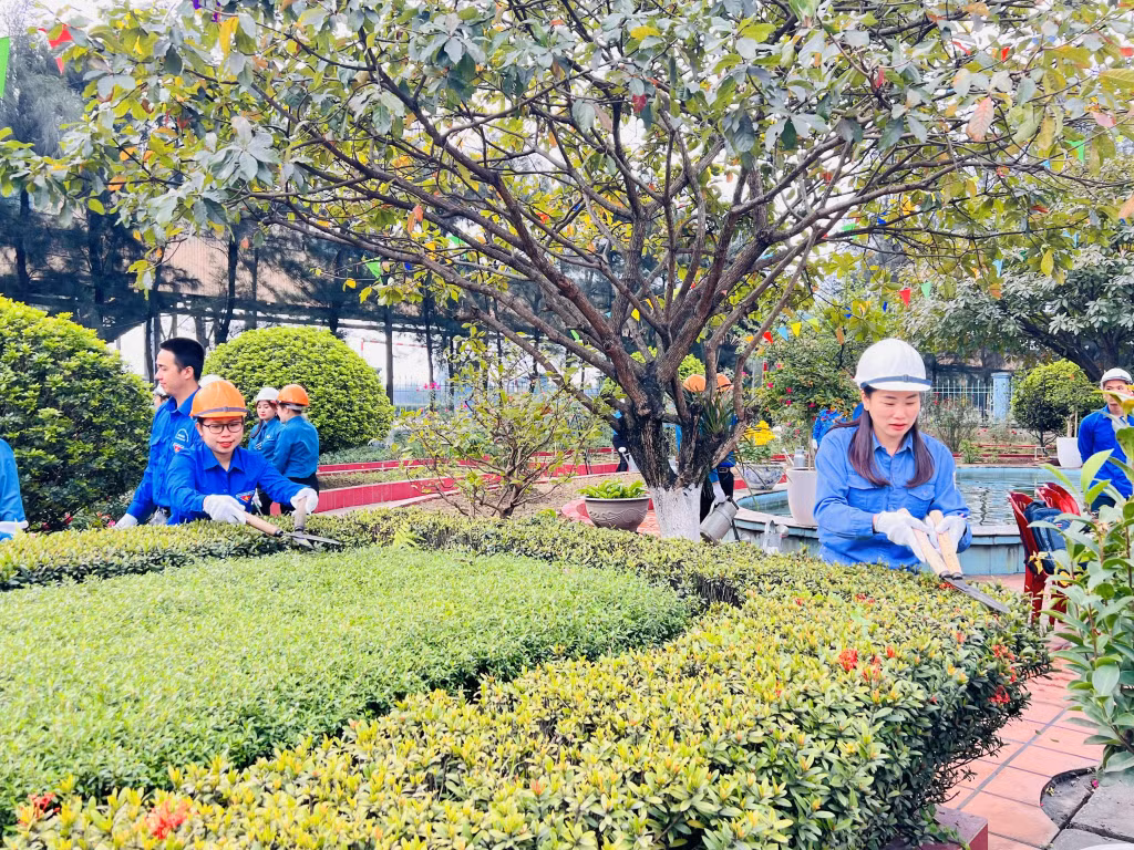 Cán bộ, nhân viên, lao động Công ty cắt tỉa cây xanh.