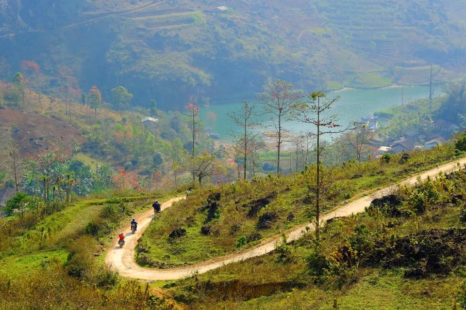 Tháng 3, trên các sườn đồi bên con đường quanh co, khúc khuỷu dẫn xuống dòng Nho Quế luôn bắt gặp những cây gạo đang nở hoa rực rỡ.